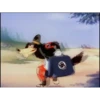 ⑤