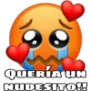 QUERÍA UN
NUDESITO!!
