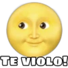 TE VIOLO!