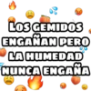 LOS GEMIDOS
ENGANAN PERO
LA HUMEDAD
NUNCA ENGANA