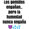 LOs gemidos
engañan.
pero la
humedad
nunca engaña
