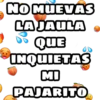 NO MUEVAS
LAJAULA
QUE
INQUIETAS
MI
PAJARITO