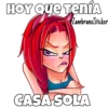 HOY QUE TENÍA
ZambranoSticker
CASA SOLA