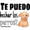 TE PUEDO
hechar los
perros?
@joshuacaprii