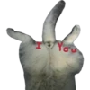T You