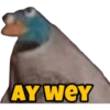 AY WEY