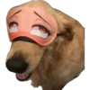 Memes uwu 8 23