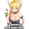 Te ganaste esta linda rosa