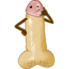 Penis 15