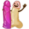 Penis 29