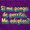 Si me pongo
de perrito.
Me adoptas?