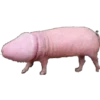 Porno 2 13
