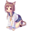 Lolis Kawaii 8
