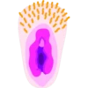 ઇમોજી xxx 7