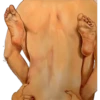 Erotic 22