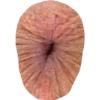PORNO!! 11