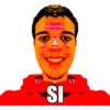 SI