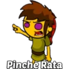 Pinche Rata