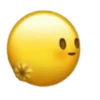 Emoticons sexuais 6