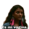 Es mi vagina.
