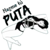 PUTA