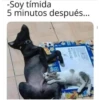 -Soy tímida
5 minutos después...
34-
81000