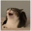 Meme 3 26