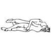 Sex positions 19