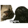 Negro,