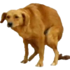 Memes random 29