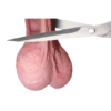 Funny but sex 20