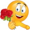 Funfull Adult emojis 2 16