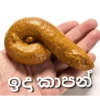 ඉදාකාපන්