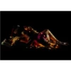 Christmas 4 ️(Deluxe) 18