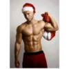 Santas Sexis 7