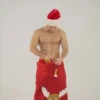 Santas Sexis 14