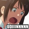 UDIIINNNNN