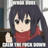 WHOA DUDE
CALM THE FUCK DOWN
imgflip.com