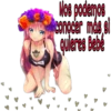 Nos podemos
conocer más e
quieres Bebé
