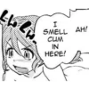 H-meme 17