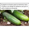 Hot🔥࿅54🇪🇨Clásica 12
