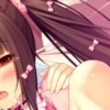 Perfect Hentai (Deluxe) 23