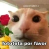 emotristona fototeta por favor