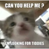 CAN YOU HELP ME? @RED_BO19 I'M LOOKING FOR TIDDIES