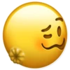 AdultEmojis 13