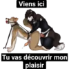 Viens ici
Tu vas découvrir mon
plaisir
