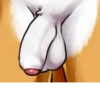 Penises 11