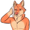 Adult Stickers 8