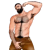 Gay 11