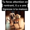 Dirty french texts 2 - Sextos 6